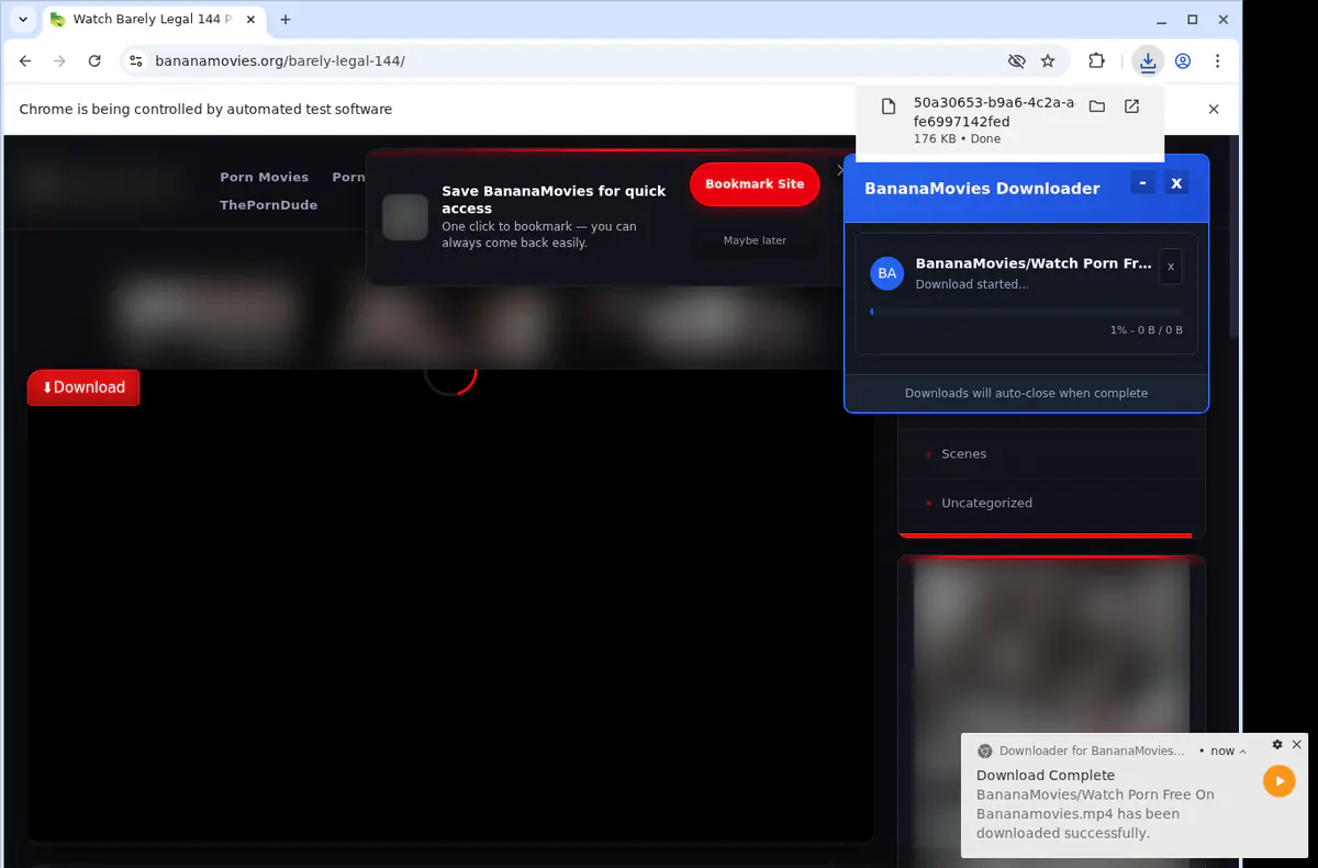 Bananamovies Video Downloader screenshot 2