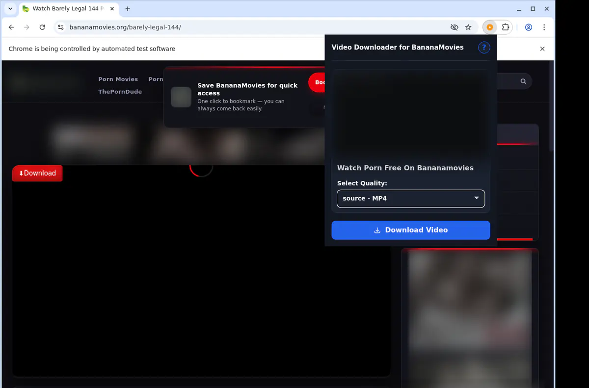 Bananamovies Video Downloader screenshot 3