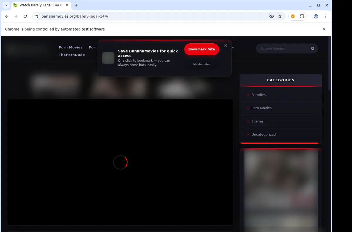 Bananamovies Video Downloader screenshot 5